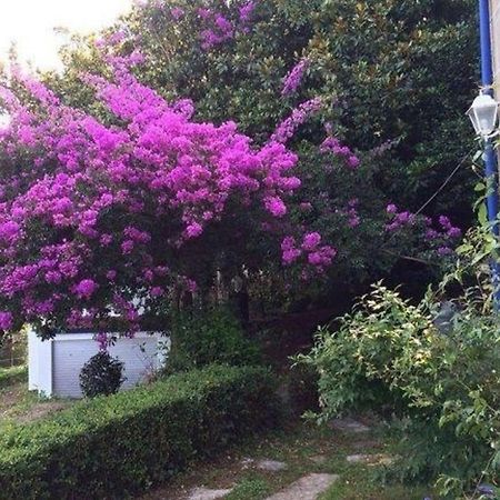 Ferienhaus Fuer 12 Personen Und 2 Kinder In Redondela, Costa Verde Spanien Rias Baixas Villa Esterno foto