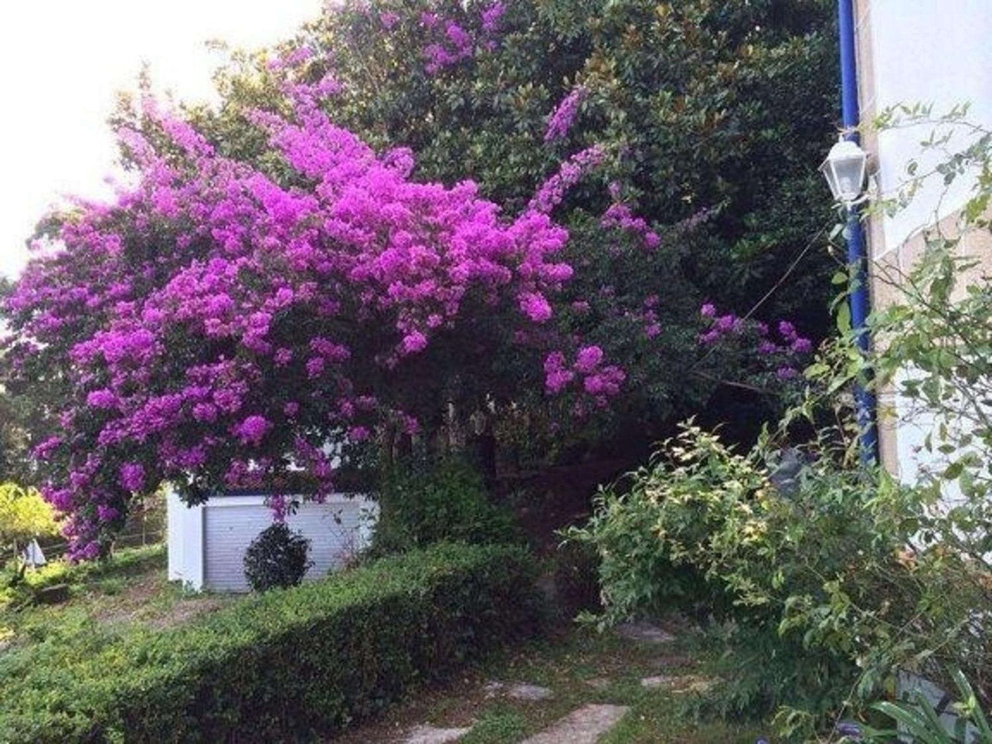 Ferienhaus Fuer 12 Personen Und 2 Kinder In Redondela, Costa Verde Spanien Rias Baixas Villa Esterno foto